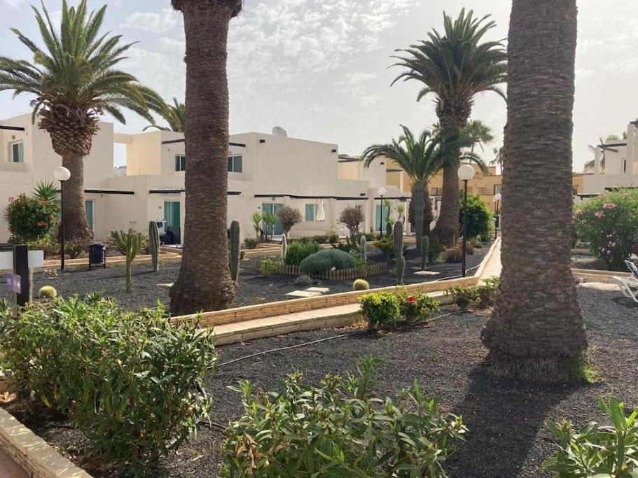 Corralejo Suite Pool & Gardens - Alisios Playa מראה חיצוני תמונה