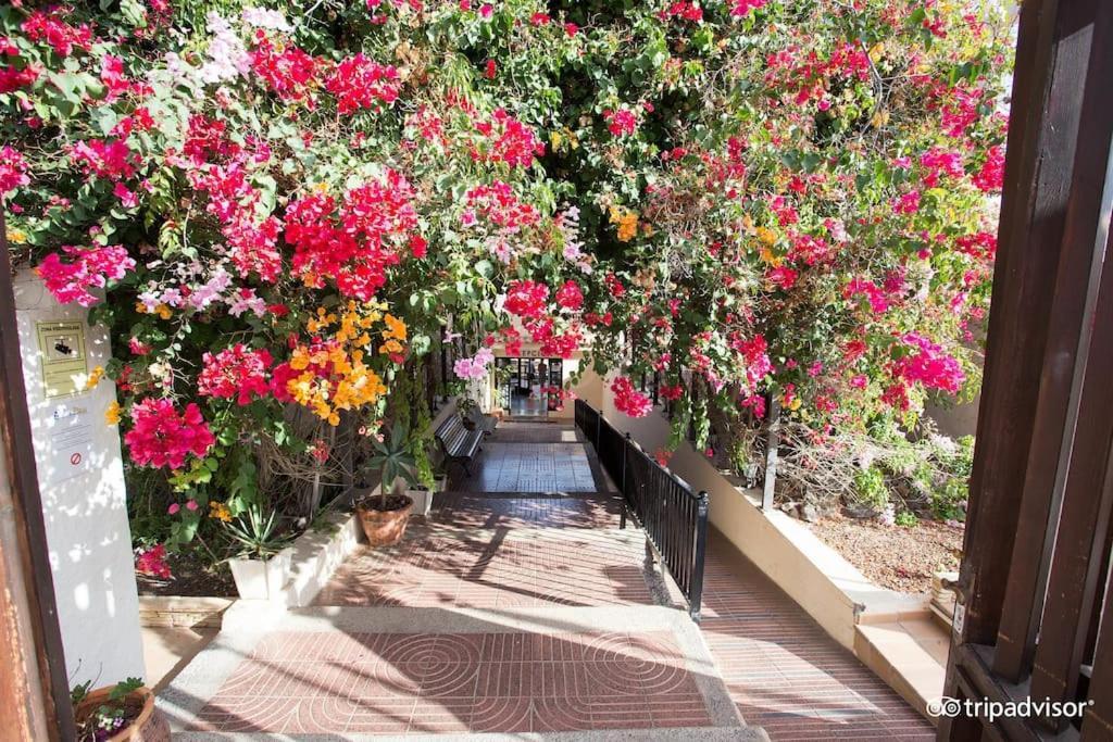 Corralejo Suite Pool & Gardens - Alisios Playa מראה חיצוני תמונה