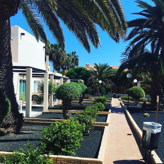 Corralejo Suite Pool & Gardens - Alisios Playa מראה חיצוני תמונה